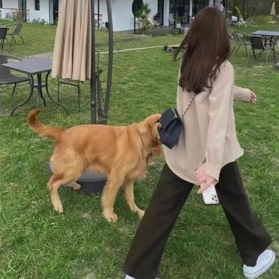 咒怨:白老妇